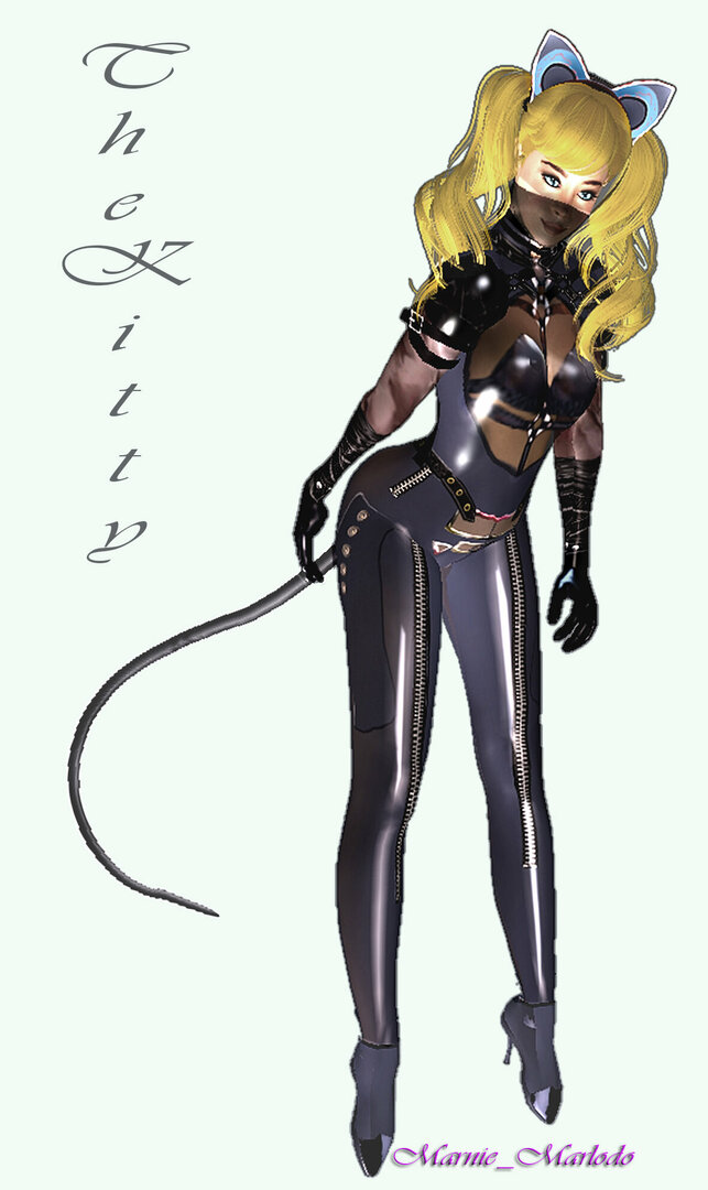 TheKitty_3.jpg