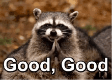 good-good-evil-smile.gif.525a1482403b38eec040f0566deb87aa.gif