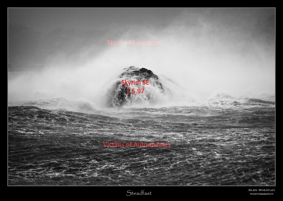 steadfast.jpg.35815451b40c7866229ef7c3c4a2f674.jpg