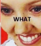 theWHAT.png.d4a08b788ce232cf7efe3f3784dda8b8.png