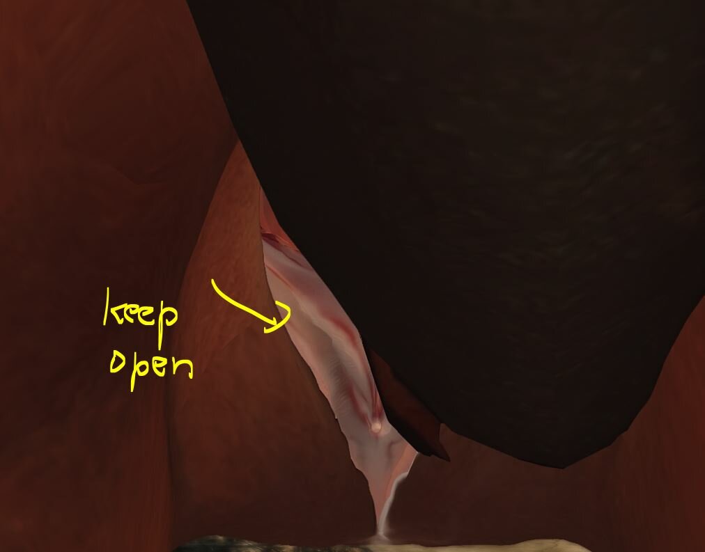 vopen.JPG.ed5380a373a87e4e5e50a268b12e0c46.JPG