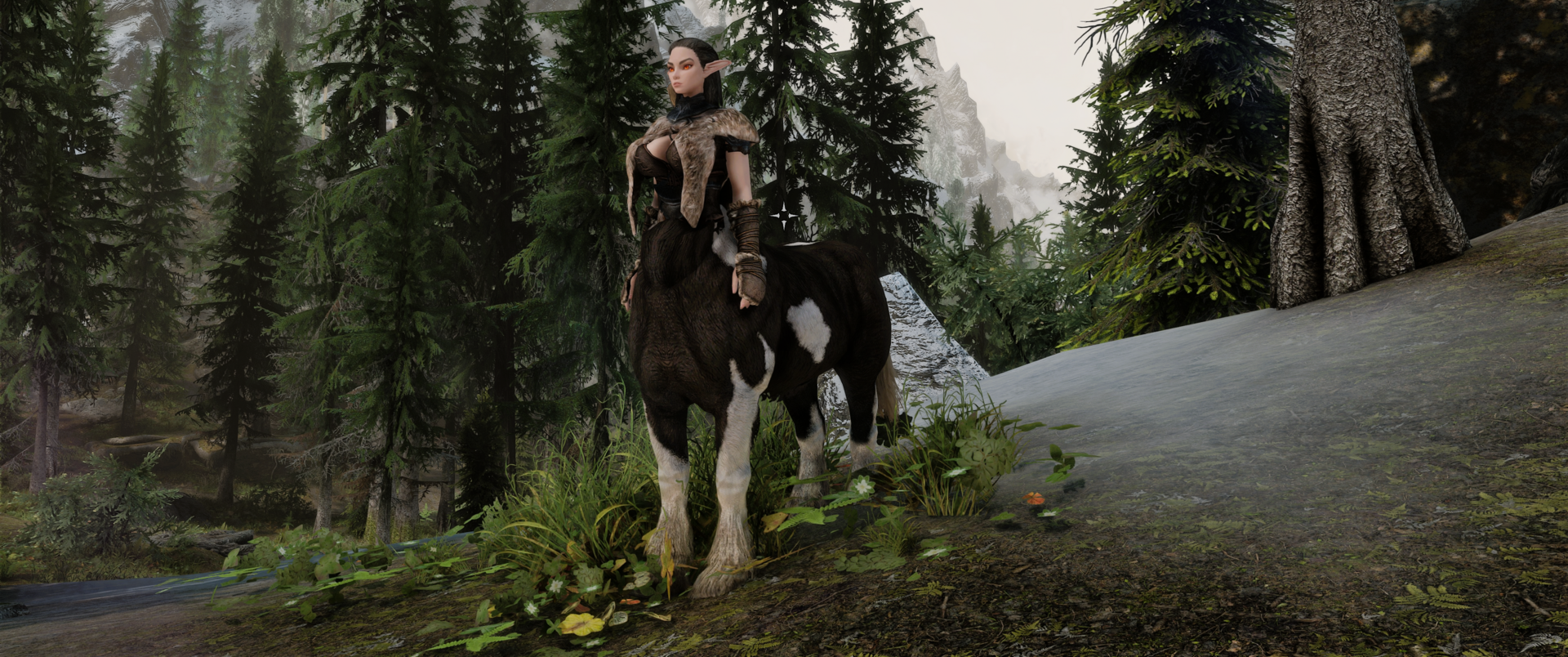 colors centaur  banner.png