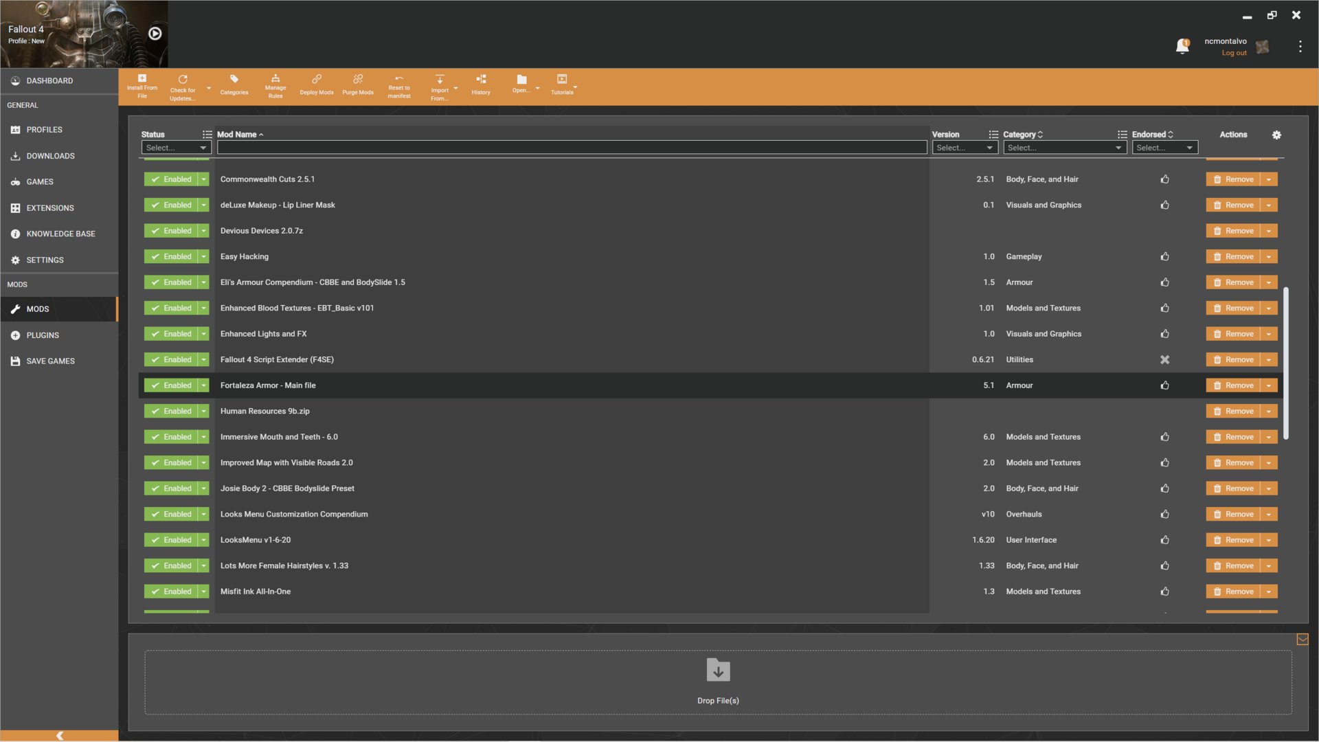 Modlist2.PNG