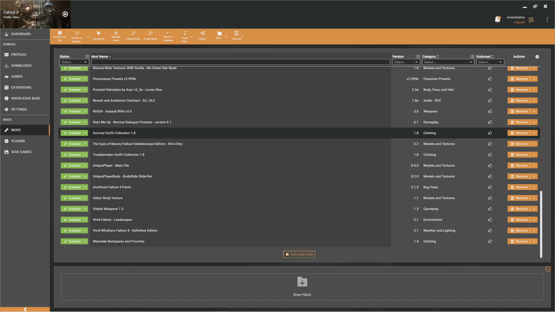 Modlist4.PNG