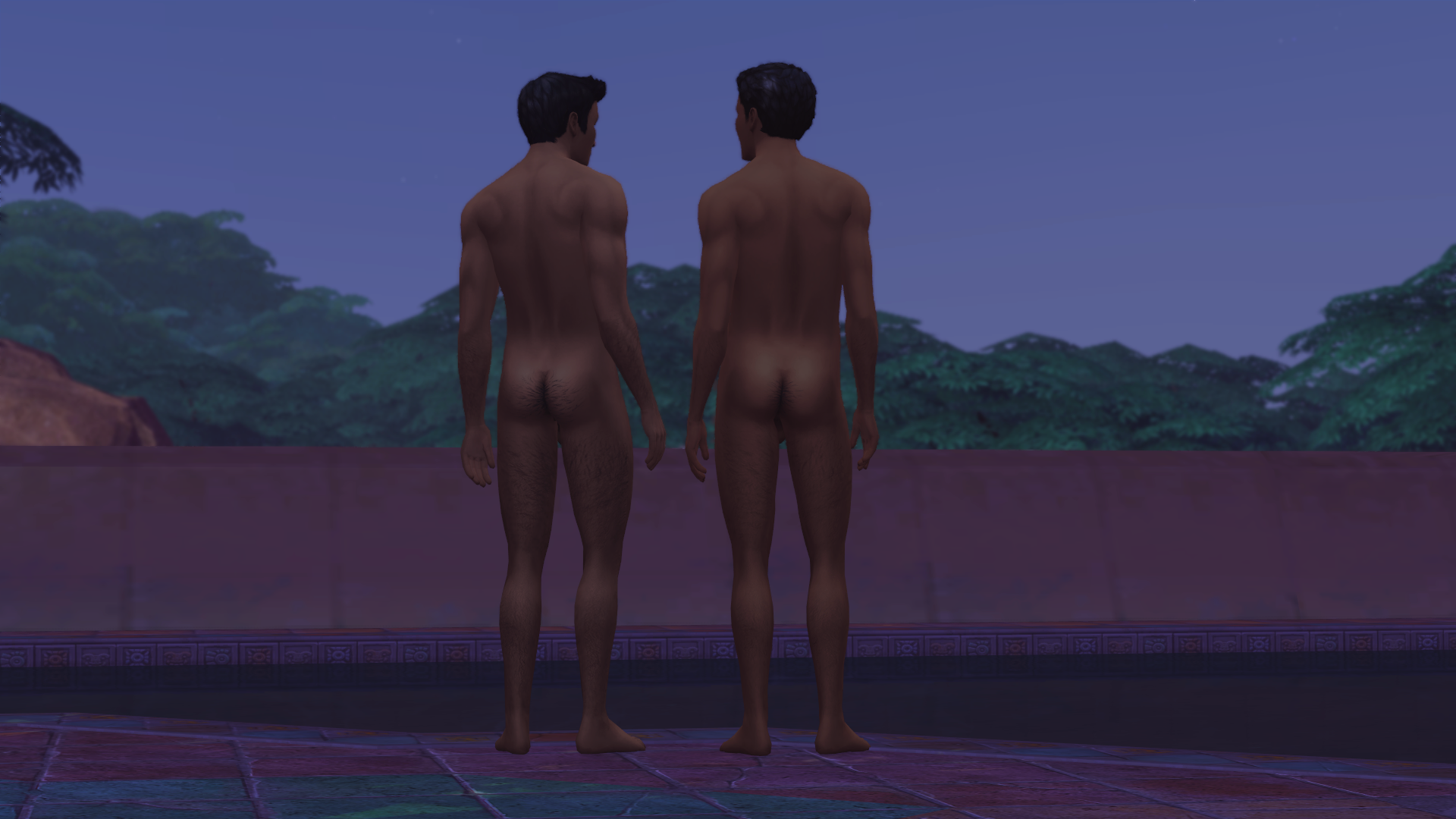 Selvadoradian_Brothers_1_19.png.00b3e703b08b0ad36e53356cae8d4e85.png