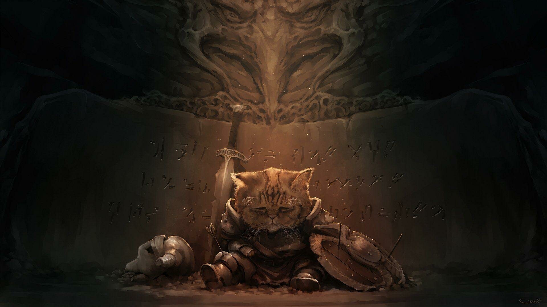 Wallpaper-kitten.jpg.34f9e4fdeb7842f4fdb5b9ab86d0f2b3.jpg
