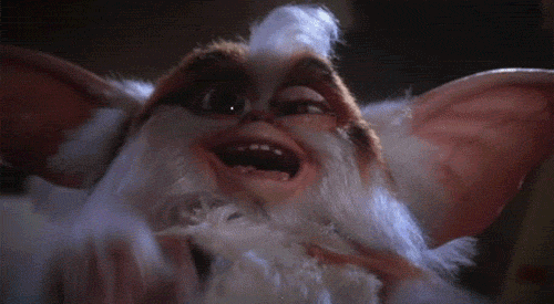 giphy.gif.7f8a0d5ed65cceb076b5c70b43871e64.gif
