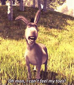 1110789497_DonkeyofShrek.gif.62993adfb06c98c19e856dc51363dbd2.gif