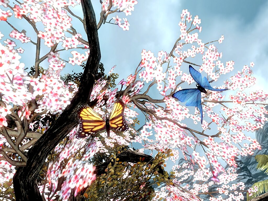 1505292400_Freedomhasabeautifulwings.jpg.2fa5cf0cc5c3628d171e4077bf936667.jpg