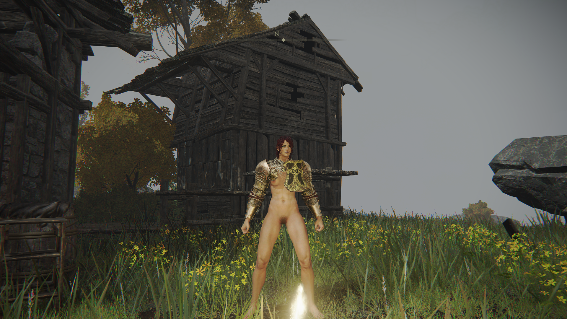 2018228622_EldenRingScreenshot2022_03.16-23_26_24_76.png.c38d2c13ec069308de426e2e4bc3fd3d.png