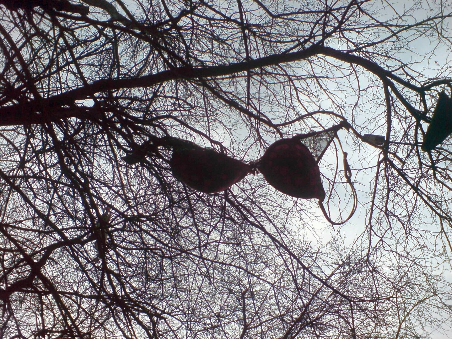 DSC01579.thumb.jpg.e6fe6e13ee637a7f9383c5439d28ac18.jpg