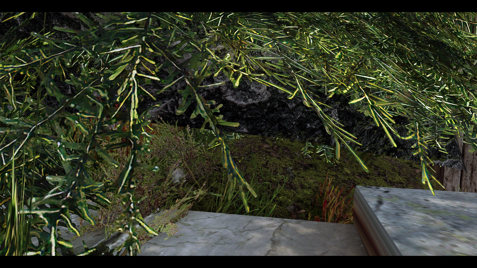 ScreenShot1438.png.ddb9e6491a2ae4f33ed5c7656626fbe7.png