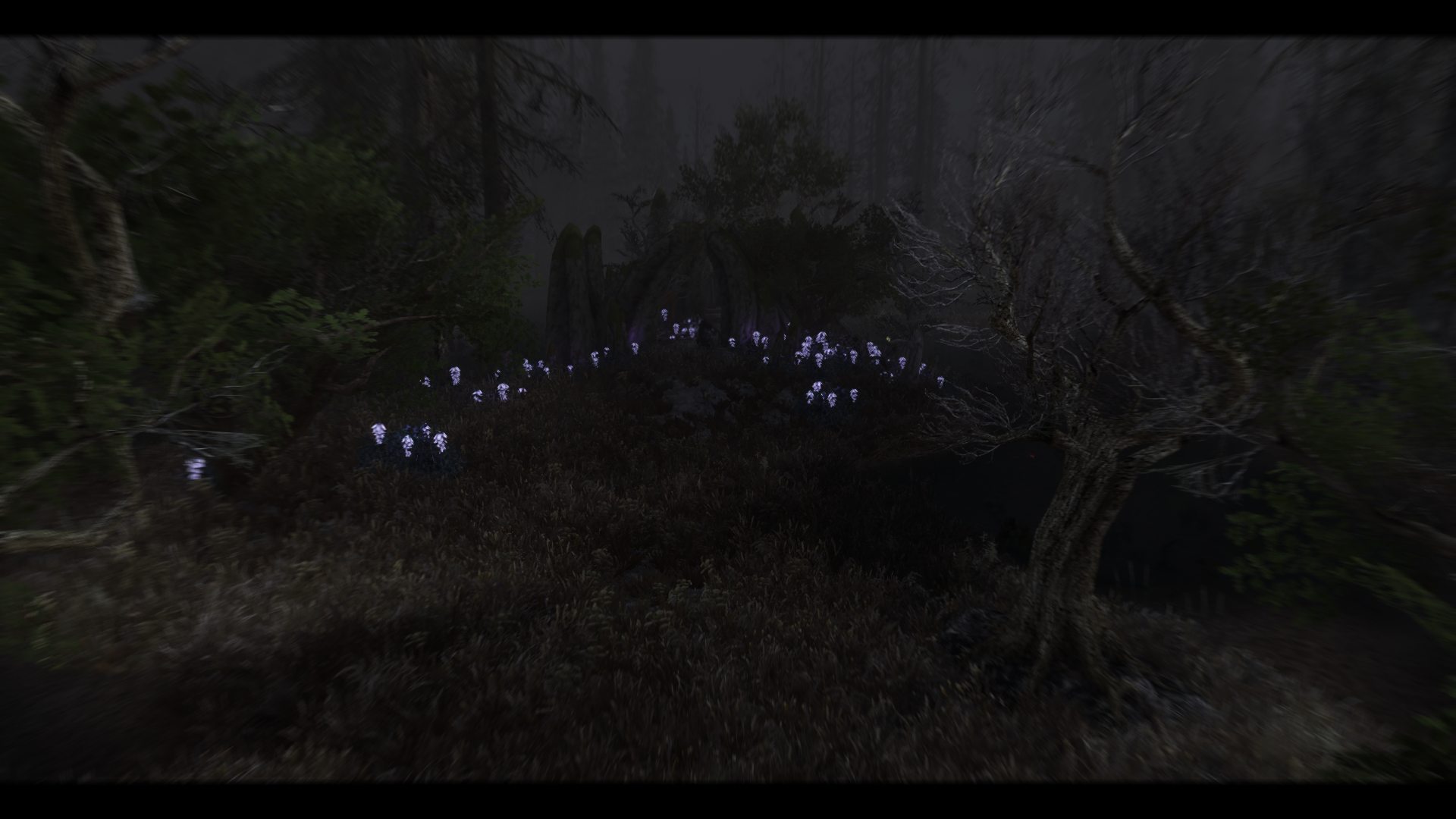 ScreenShot1464.png.dab1ac5909615d23afd7cc6e0f9752da.png