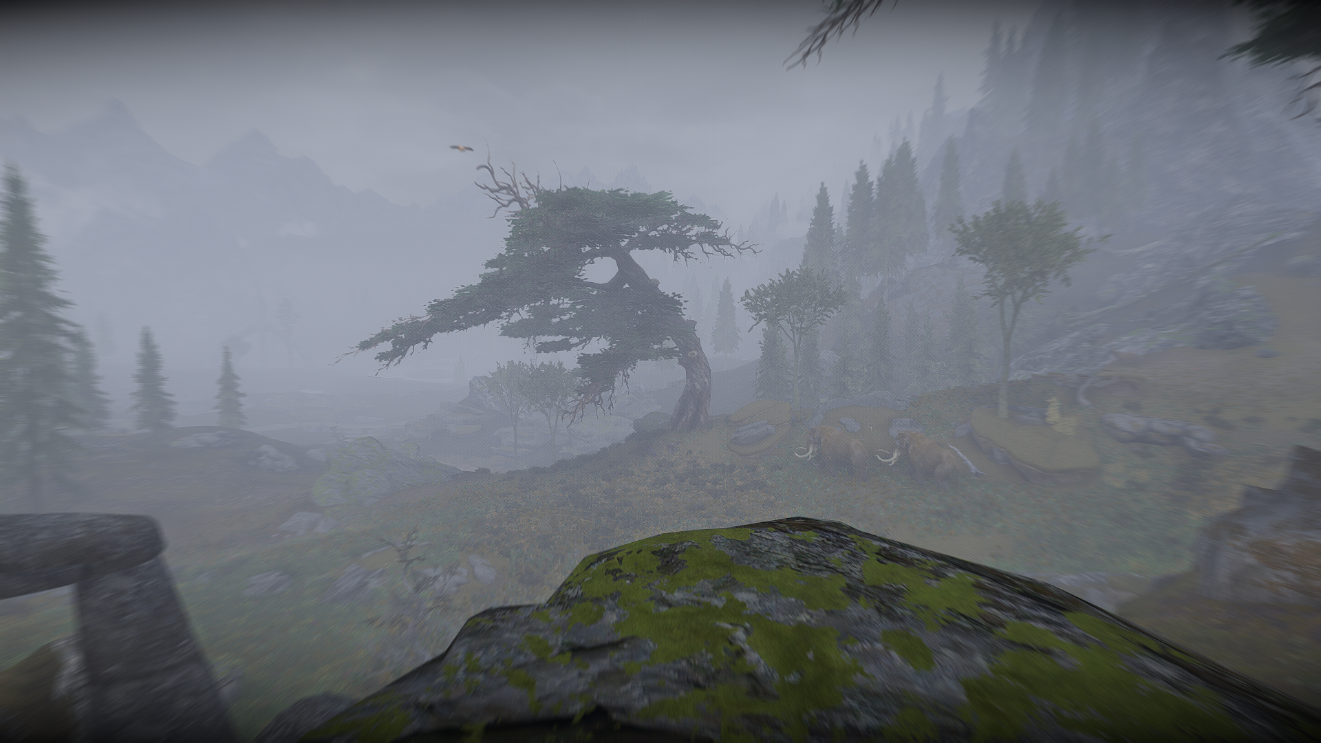ScreenShot1698.png.0728c0c1b2db7182f97759f1f4f84cc2.png