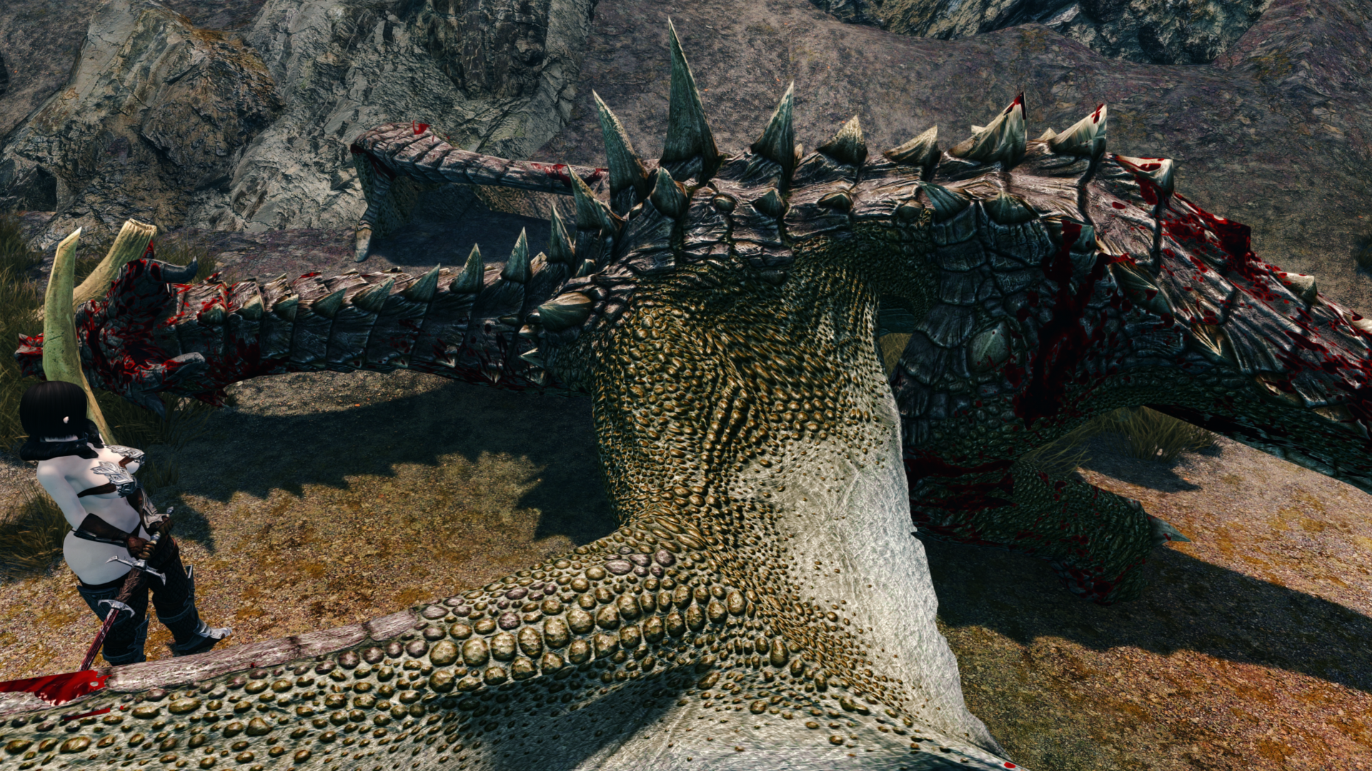 Skyrim7605.thumb.png.1e7f61f41bdeeeaf39d9432fee48f8a4.png