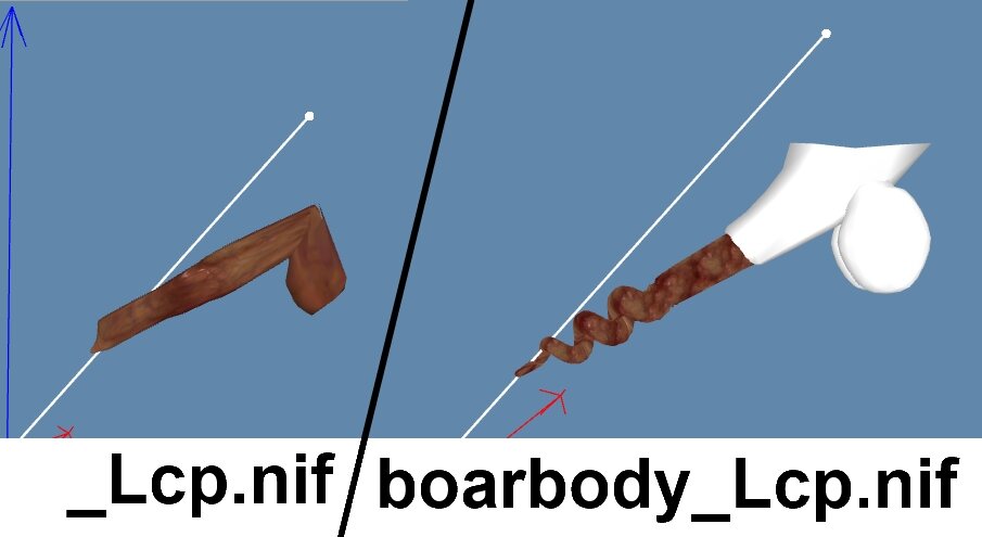 boar.jpg