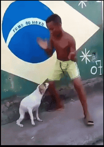 dance-dancing.gif.1eb4abd7060cc425bedf5ac6e3a97685.gif