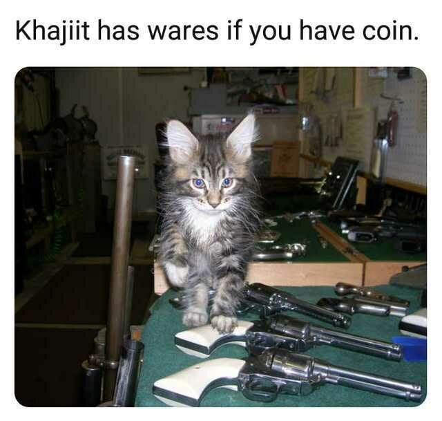 khajiit-has-wares-if-you-have-coin-7MX9b.jpg.c2345cb0a1077f730b3c5d62d2ad5c7b.jpg