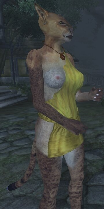 w9.jpg
