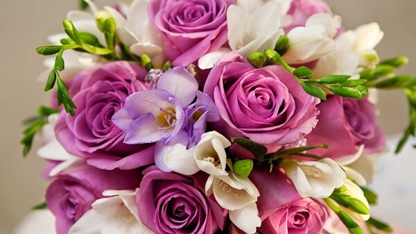 yu-beautiful-flowers-for-you-221087.jpg