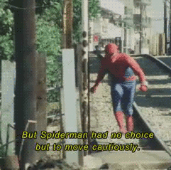 778411128_japanesespider.gif.8dbad08a88817fba09a25f7f018df35a.gif