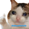841057181125836891.png.962236f22c8173cc9fd449b6567d8bbd.png