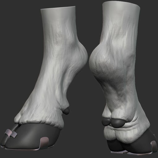 Hoof_Draft.jpg.df347014fc18ae93b04e3825276316ce.jpg