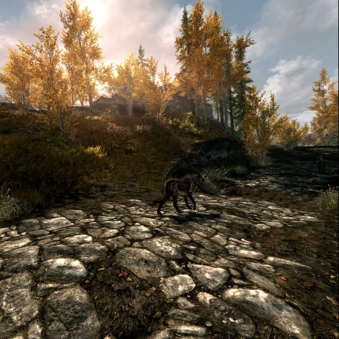OculusScreenshot1650689617.jpeg