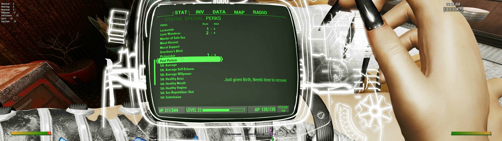 Pipboy.jpg