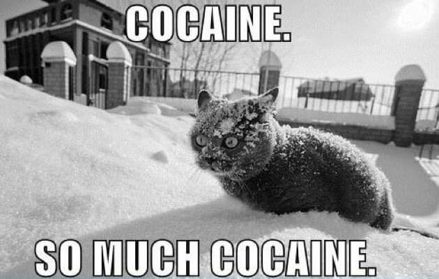 coke.jpg.4a6ebb1c9d08834a5c6835c40f9a7989.jpg