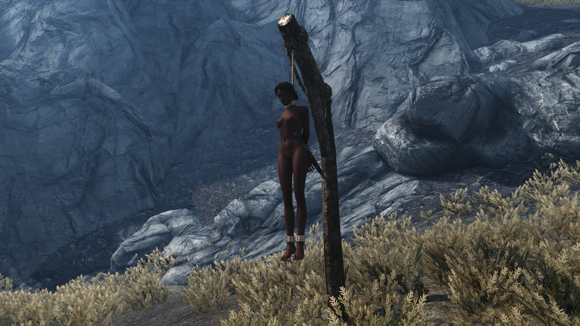 image.png.f971b275ab0766a812536d0e90954df3.png
