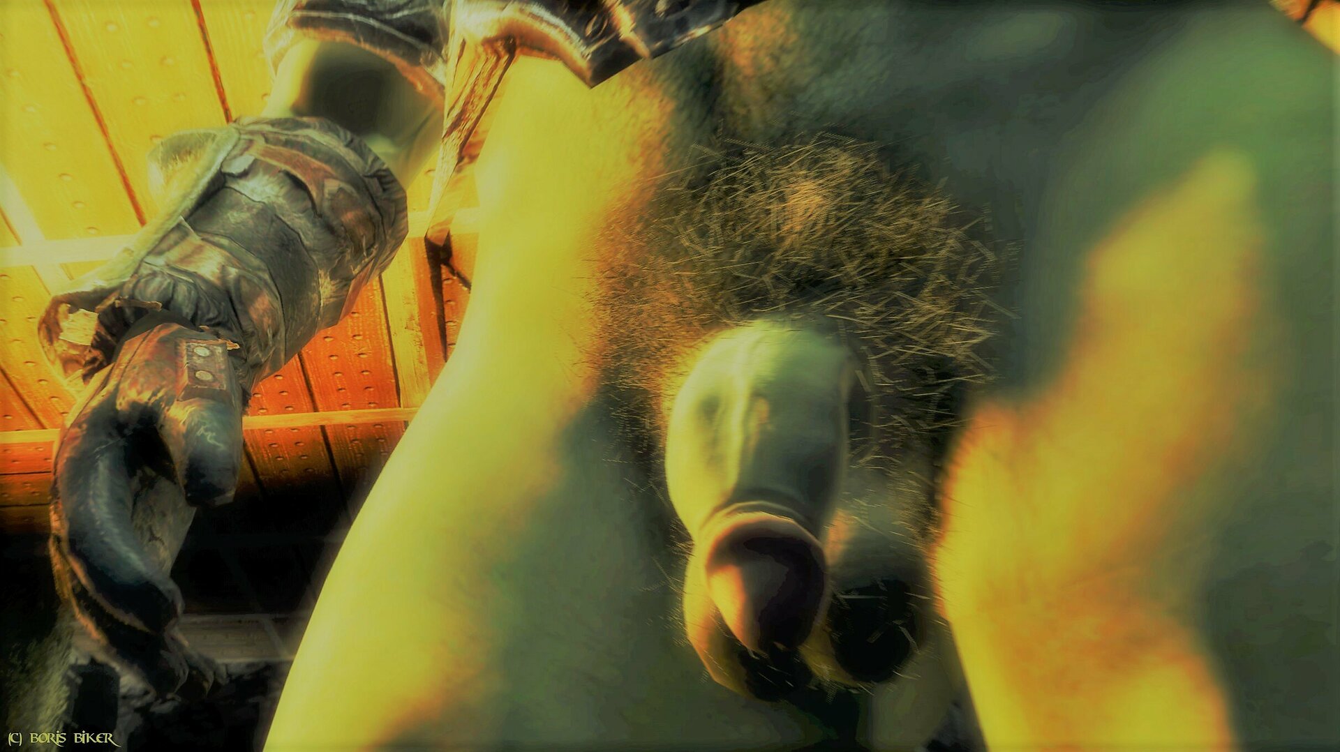 skyrim-012c.thumb.jpg.b0a4023c6d738c6a54b221aab564c54a.jpg