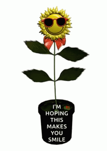 sunflower-dance.gif.eefddfcbfe7a21e7e742141d38dadda9.gif