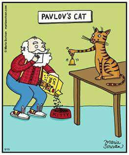 1324852947_PavlovsCat.jpg.cdeb20ca2d5f9d926036ef8b8a5eb89e.jpg