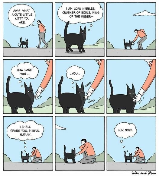 CatLordNibbles.jpg.fbd711a6b927b3e94c27c45c637e6704.jpg