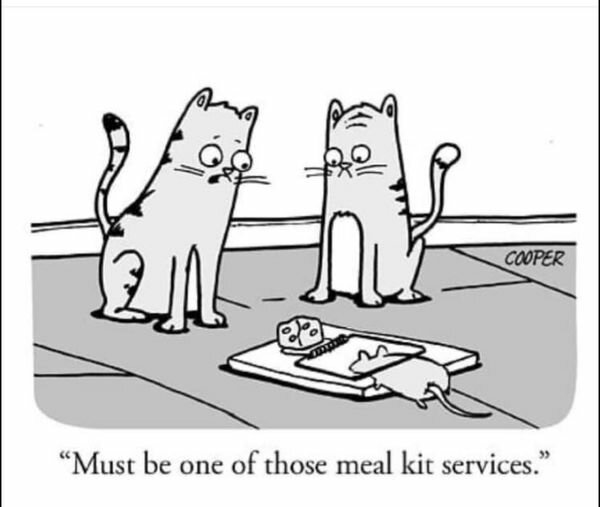 CatMealKit.jpg.8509eed031e350b3f007de538df6b62a.jpg