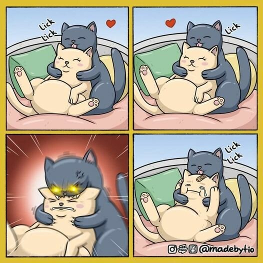 CatTraitor.jpg.cd1ec192d5c8b788e4b756f24ffc884c.jpg