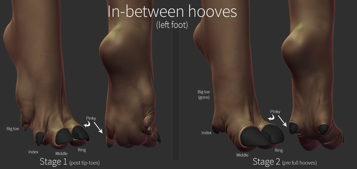 HalfHoof_draft02.jpg.f87d5399e6c4fdefd034a5cfbd0c4ae8.jpg