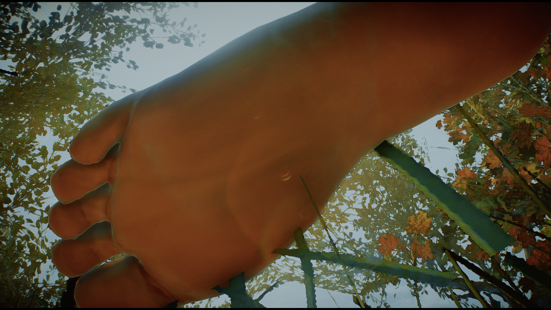 Photo4445.png.45b14d17da510ac31bef221436b6f959.png