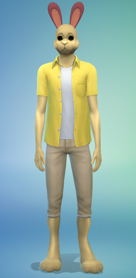 SSPerson.png.d1c59433217c4b6478e61067395b1818.png