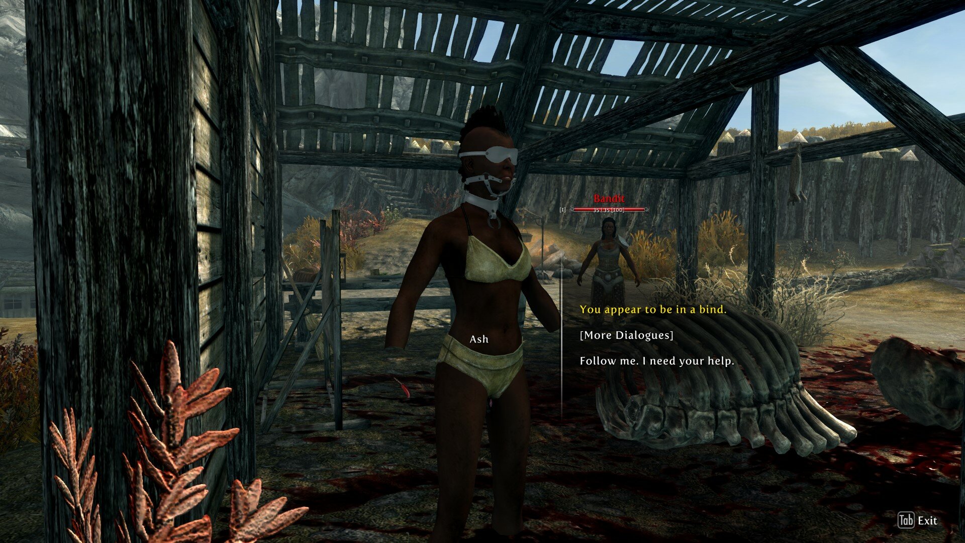 ScreenShot11.jpg.680456bf4e7a63e45114e21e555947c4.jpg