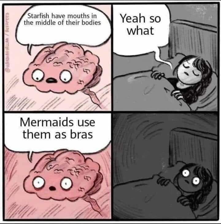 mermaids.jpg.1dd9f1a931123c35458129fec4f8d5bf.jpg