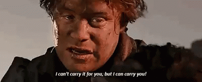 samwise-gamgee-i-cant-carry-it-for-you-but-i-can-carry-you.gif.2af141a7e4afb4152cfb4374a38debe4.gif