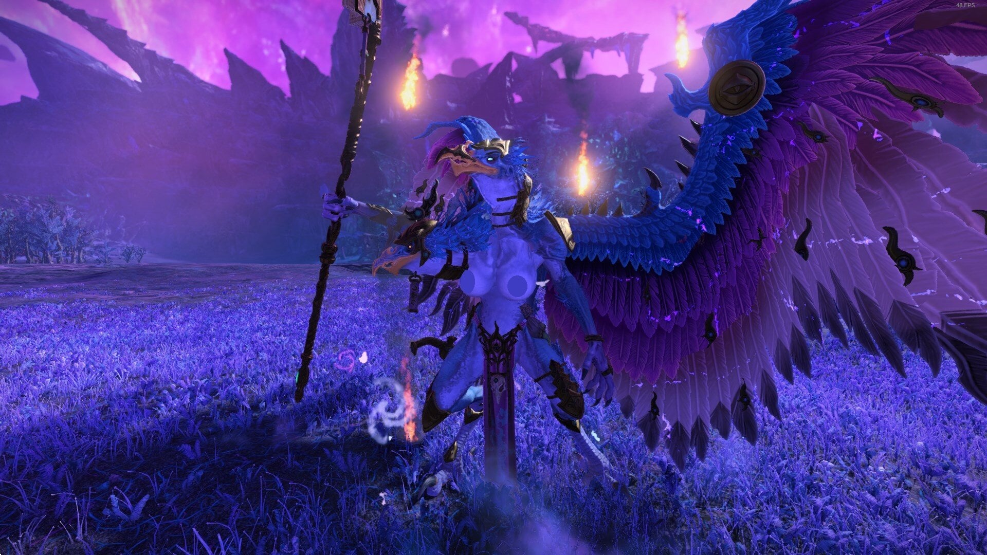 warbirb2.jpg.2975d003c968fad0535431dfc21afad0.jpg