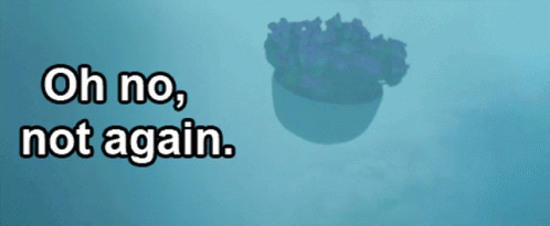 218C456F-6E95-4BA7-80FB-113212A4317B.gif