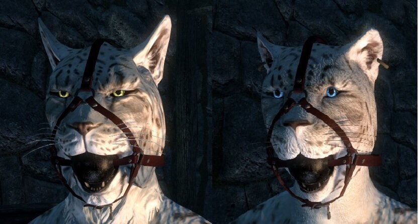 32445437_snowkhajiitorsnowleo.jpg.e0b1f4df5bb5866e5296c20247f50dc4.jpg