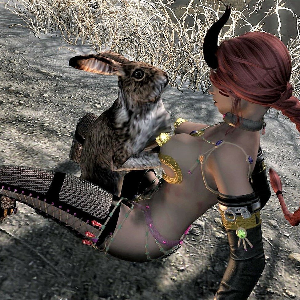 Bunny_Moment (2).jpg