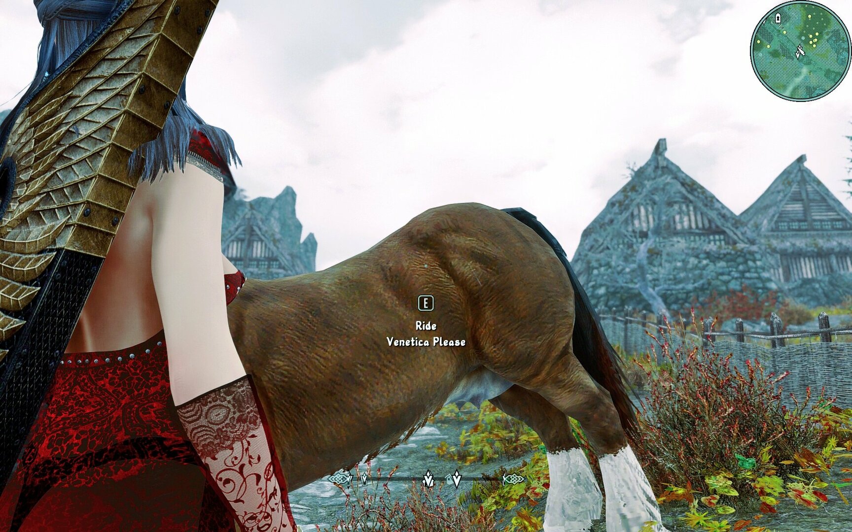 female horse.jpg