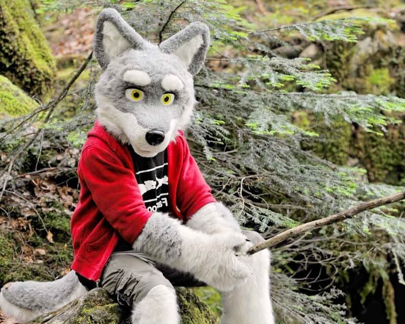 78052973_5f88764166dd476b7bc78e2b_Popularizedbycartoonsandfilmswerewolvesaremythicalcreatureswhoarehumanandwolf.-p-800-3331012358.jpg.38ae04c55c2567d08dff690cdf94e9ea.jpg