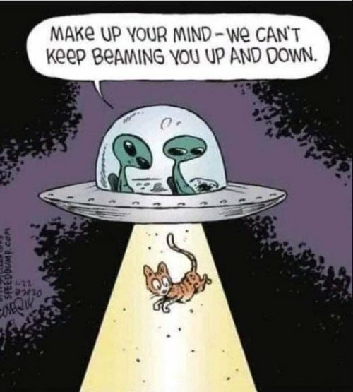 CatAlienMind.jpg.777b4acd6ff63999995bdd572d7f0707.jpg